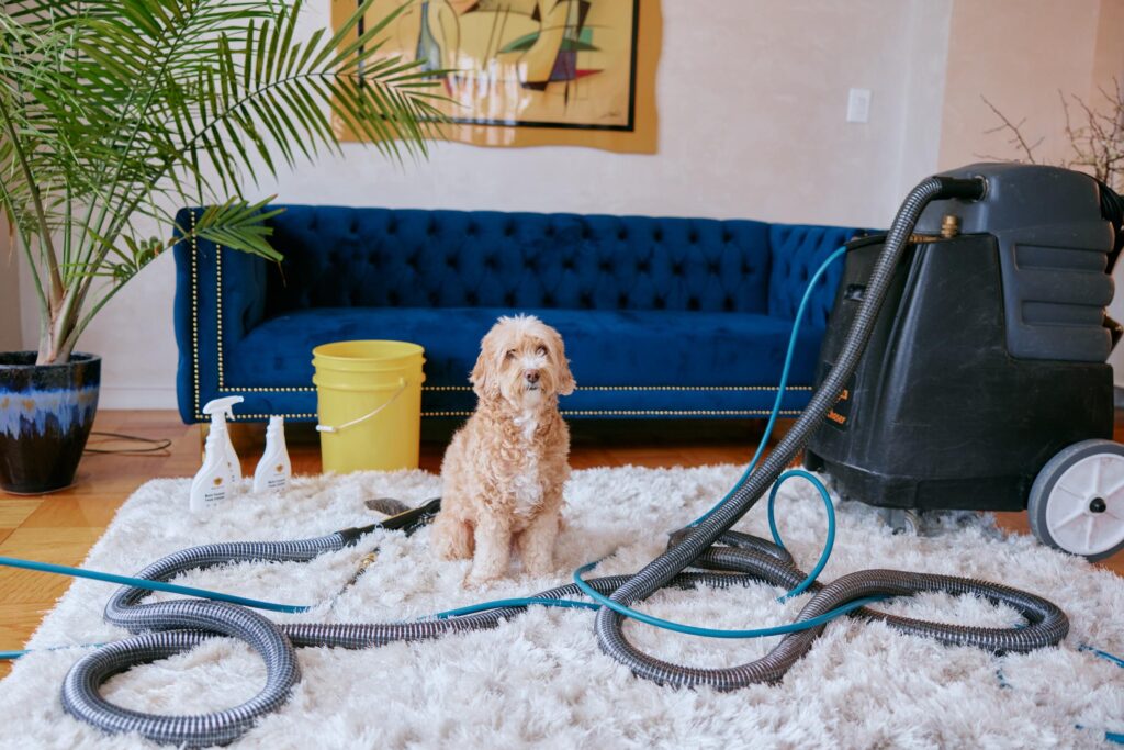 The Ultimate Guide to Professional Home Cleaning Services in London